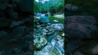 Peace that nature gives us |Stress relief  #nature #river #relaxing