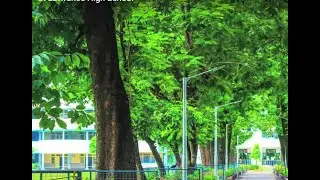 St  Lawrence High School Kolkata,  Forging Ahead 2016