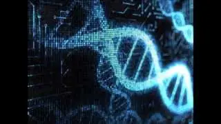 Significance of Alu Insertion in Population Genetics