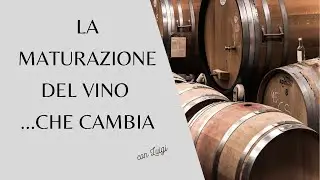 La maturazione del vino   che cambia