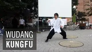 KUNGFU | Daoist Gate Wudang Kungfu: Xuan Gong Quan Erlu (2-2)