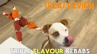 Good'N'Fun Triple Flavored Rawhide Kabobs: Top Dog Treat?