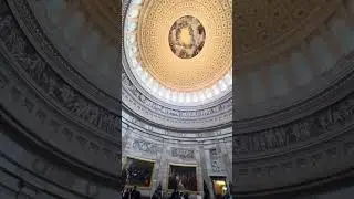 The Capitol! #america #usa #dc #capital #travel #trending #trendingshorts #fyp #new #funny