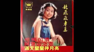 Long Fei Fei / 龍飛飛 - 愛的陷阱 (funk pop, Taiwan 1978)