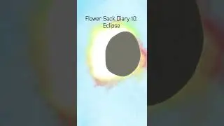 Animation Practice: Flour Sack Diary 10