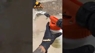 POV 38: Dog Poop Cleanup + Turf Cleaning | Sun City Scoopers El Paso
