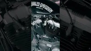 Harley Davidson 48 engine idle sound #XL1200 #harleydavidson #motorcycle
