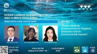 Global-ONCE Seminar 5: Ocean Alkalinity Enhancement and its Environmental Impacts.