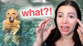 this pool day took a very dark turn (storytime)