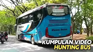 Kumpulan Video Hunting Bus ❗ RANAU INDAH, BERLIAN JAYA, AKAS AURORA, EPA STAR, HARAPAN JAYA dll