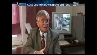 Oggetti fuori dal tempo OOPArt - Qual è la vera origine dell'uomo?