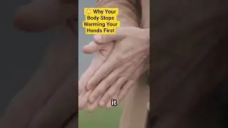 😳 Why Your Body Stops Warming Your Hands First #shortfeed