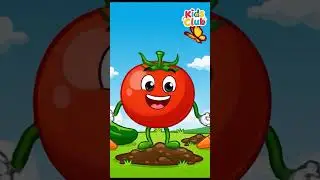 Domates Adam- Meyveler &Ccedil;ocuk Şarkısı  #turkishrhymes #&ccedil;ocukşarkıları #nurseryrhymes #fruits #fruit