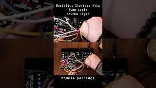 Пары модулей для ударных инструментов | Шумовая инженерия | #eurorack