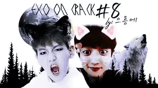 exo on crack #8