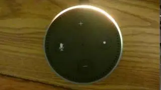 Amazon Echo Dot Entering Setup mode