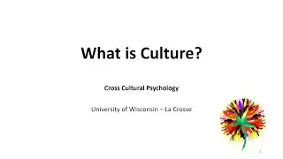 [ Cross-cultural Psychology ] What is Culture (2020-09-12)