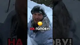 Ночь в лесу без палатки #shorts #фрост #лес #24часа