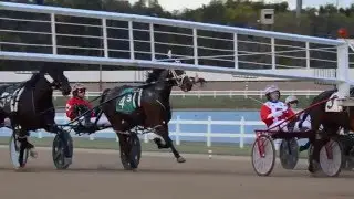Purdue Harness Racing - A Family Business