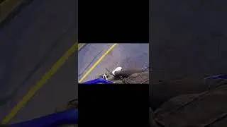Hadda lock in for this ride 😳 (watch full video on channel) #motorcycle #speed #bikelife #dji
