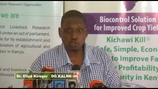 Kenya Approves Kichawi Kill a weed bio-herbicide to combat Striga - Farm Kenya