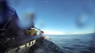 Stealth Profisha 575 with Yamaha 2HP motor