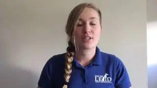 How to use a Nylon slip / dominant dog collar