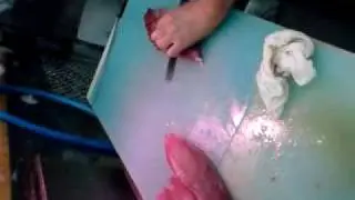 鰹の刺身をつくる