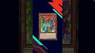 Pokemon Yu-Gi-Oh Best Custom Cards #32 -  Venusaur evolution line (Sunny Day)