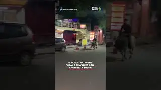 Viral Video: Drunk Man Rides Bull At Night In Rishikesh | NDTV Beeps