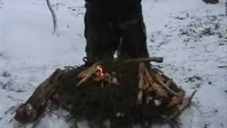 Tinder from pine