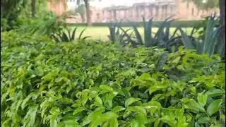 Old fort @delhi