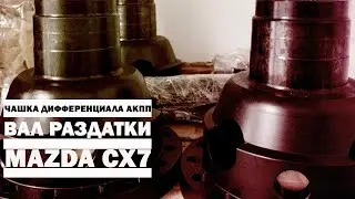 ЧАШКА ДИФФЕРЕНЦИАЛА АКПП И ВАЛ РАЗДАТКИ ДЛЯ MAZDA CX7