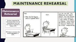 Context & State Dependent Cues, Maintenance & Elaborative Rehearsal and Serial Position Effect