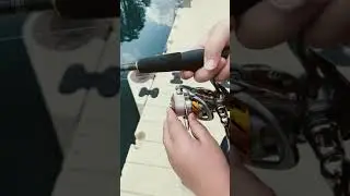 How to cast a fishing rod (ft. DEMARCOTHEGAMER)