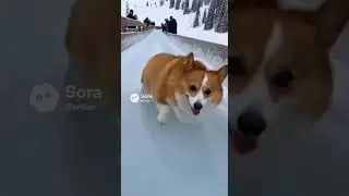 Tactical Corgi Deployment 🍞💨 #Shorts #ai
