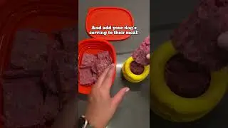 RAW Dog Food Has Never Been This EASY to Feed!