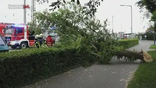 Personenrettung: Baum st&uuml;rzt in Wels-Neustadt w&auml;hrend Gewitter auf parkenden Kleintransporter