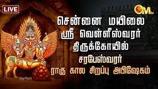 சென்னை மயிலை ஸ்ரீ வெள்ளீஸ்வரர் திருக்கோயில் சரபேஸ்வரர் ராகு கால சிறப்பு அபிஷேகம் | OM TV