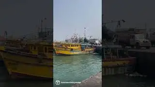 Largest Fishing Harbour in India | #shorts