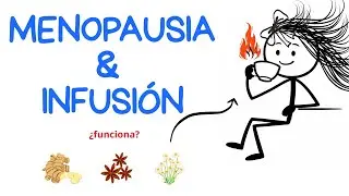 3 Infusiones para DESINFLAMAR el Abdomen en la MENOPAUSIA