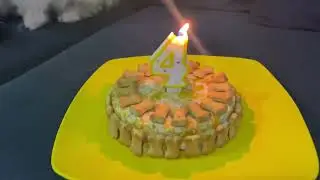 Maltese Dog celebrates birthday, happy and excited 🐶 #pomeranian.fam