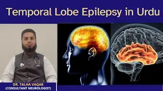 Temporal Lobe Epilepsy in Urdu