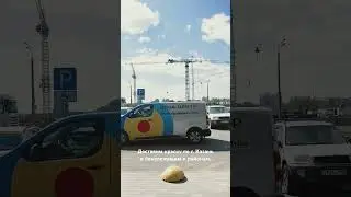 Краски Fluggerkazan в 
