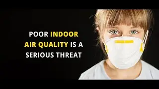 Breathe Easy: The Benefits of Fresh Outdoor Air at Home