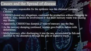 Presentation on Minamata Disease for Global Environmental Health.