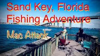 Sand Key - Clearwater, Florida Fishing Adventure