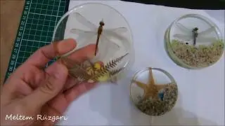 Epoksi Reçine ile Biyolojik Koleksiyon Nasıl Hazırlanır? DIY