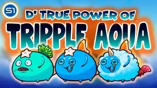 Top Ranker Tripple Aqua Meta Team rank118 2014stars Challenger0 paradyze|QU3ST  Axie Origins S1