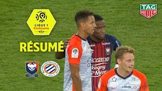 SM Caen - Montpellier H&eacute;rault SC ( 2-2 ) - R&eacute;sum&eacute; - (SMC - MHSC) / 2018-19